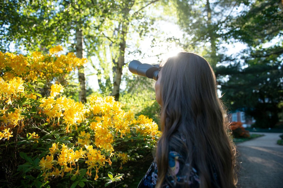 A woman looks through binoculars into the sky, in front of her are beautiful yellow flowers