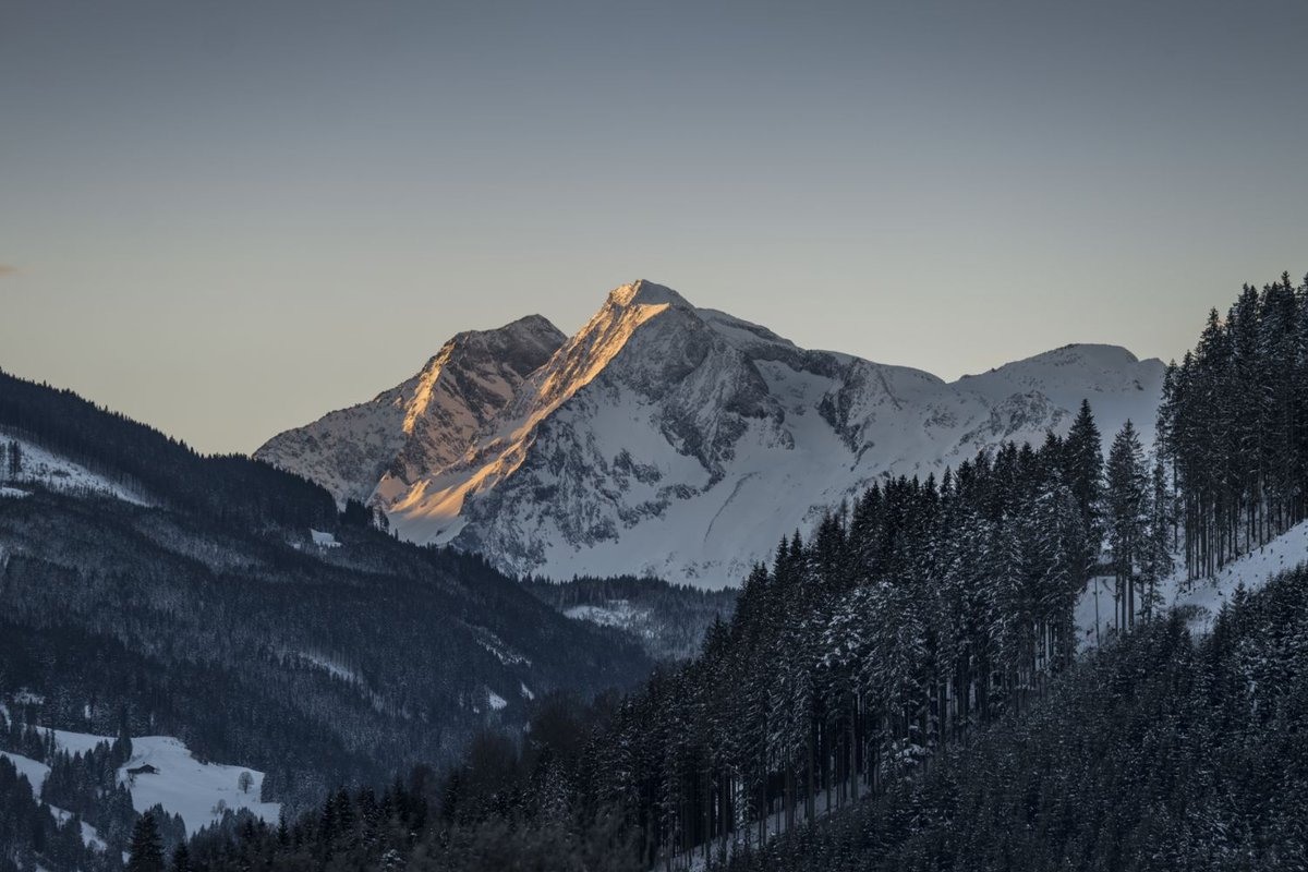 Landschaftsaufnahme eines schneebedeckten Waldes vor den Alpen im Winterurlaub Kitzbühel