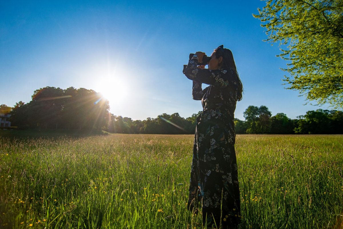 A woman with binoculars stands in a sunny meadow and watches the birds