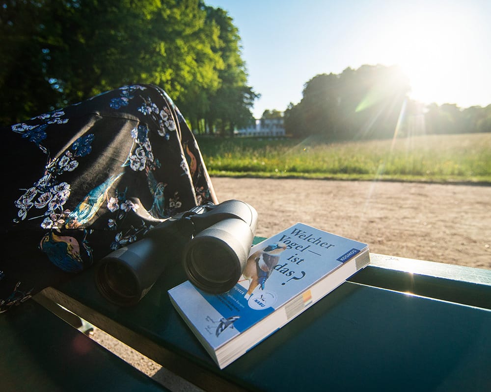 Sonne über einer Wiese und ein Buch über Vögel im Vordergrund im Bürgerpark in Bremen
