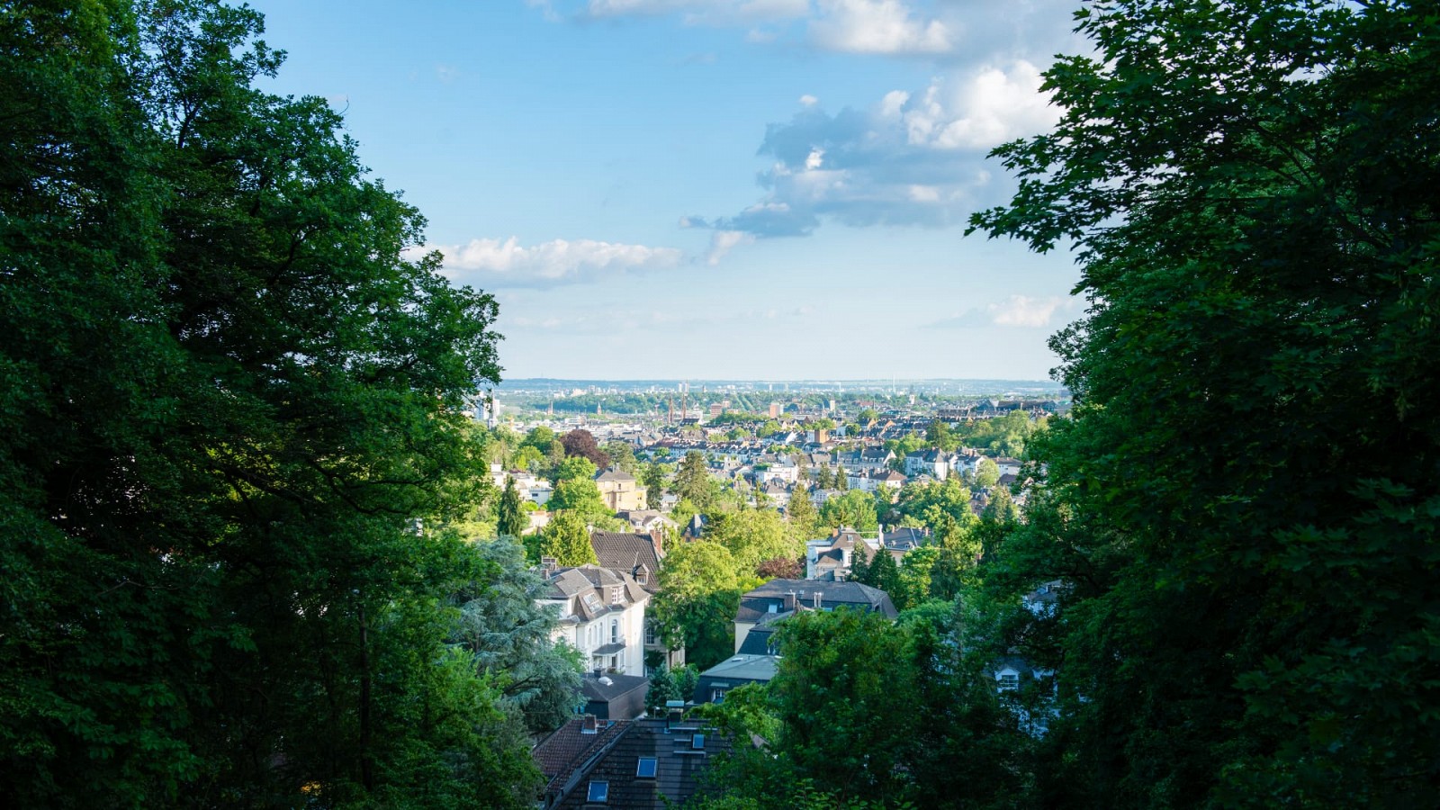 View from the Neroberg over Wiesbaden