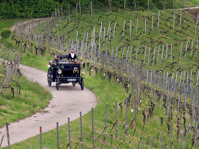 Two people ride in a motorised carriage through the vineyards of Baden