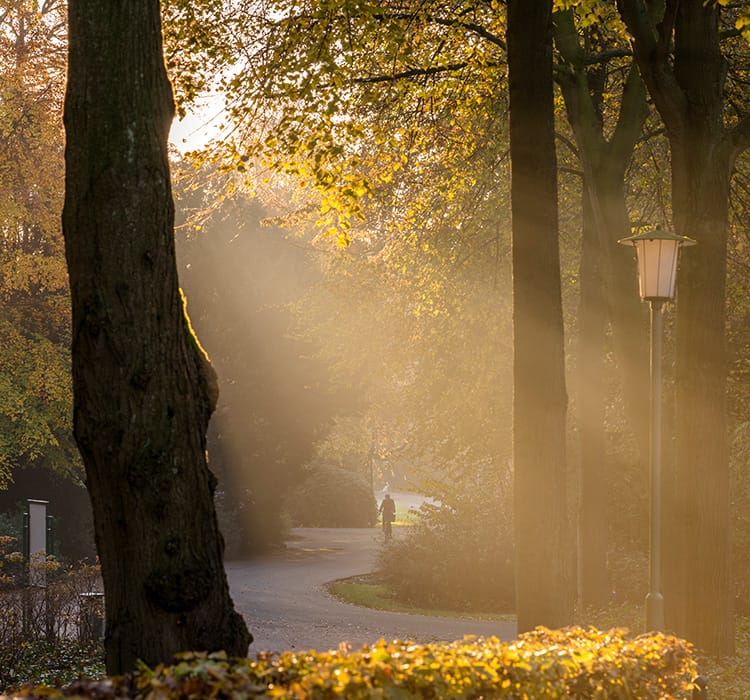 Person cycling through the Bürgerpark in Bremen in autumn weather