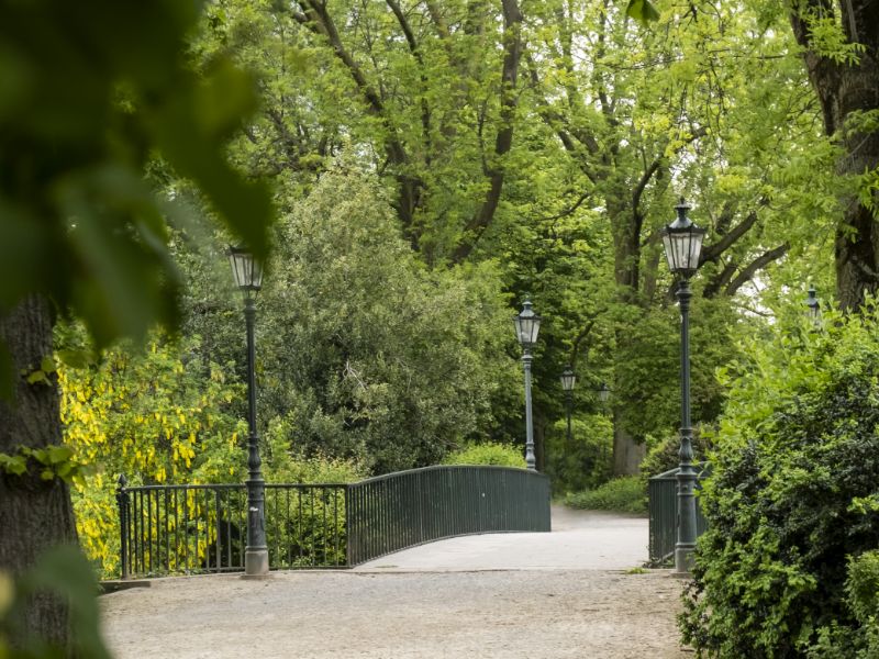 Aufnahme einiger grüner Bäume im Hofgarten, ein Ausflugsziel während eines Städtetrips nach Düsseldorf