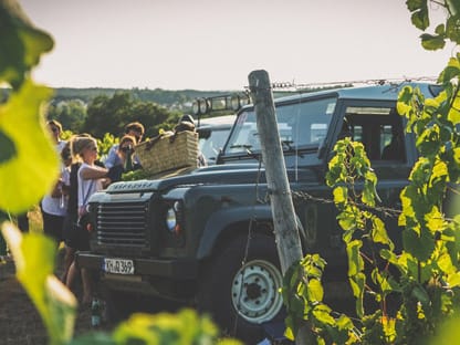 Aufnahme eines Jeeps mit mehreren Leuten während einer Weinsafari 