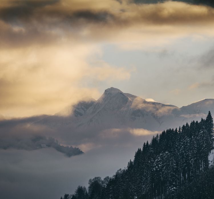 Landschaftsaufnahme der winterlichen Wälder vor den Alpen mit Wolken