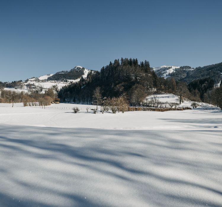 Eine winterliche Landschaft in Österreich
