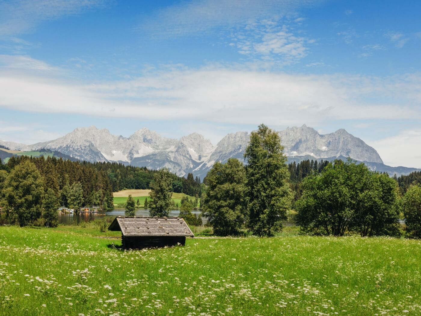 A summery mountain meadow with mountains in the background near the luxury hotel Grand Tirolia Kitzbühel